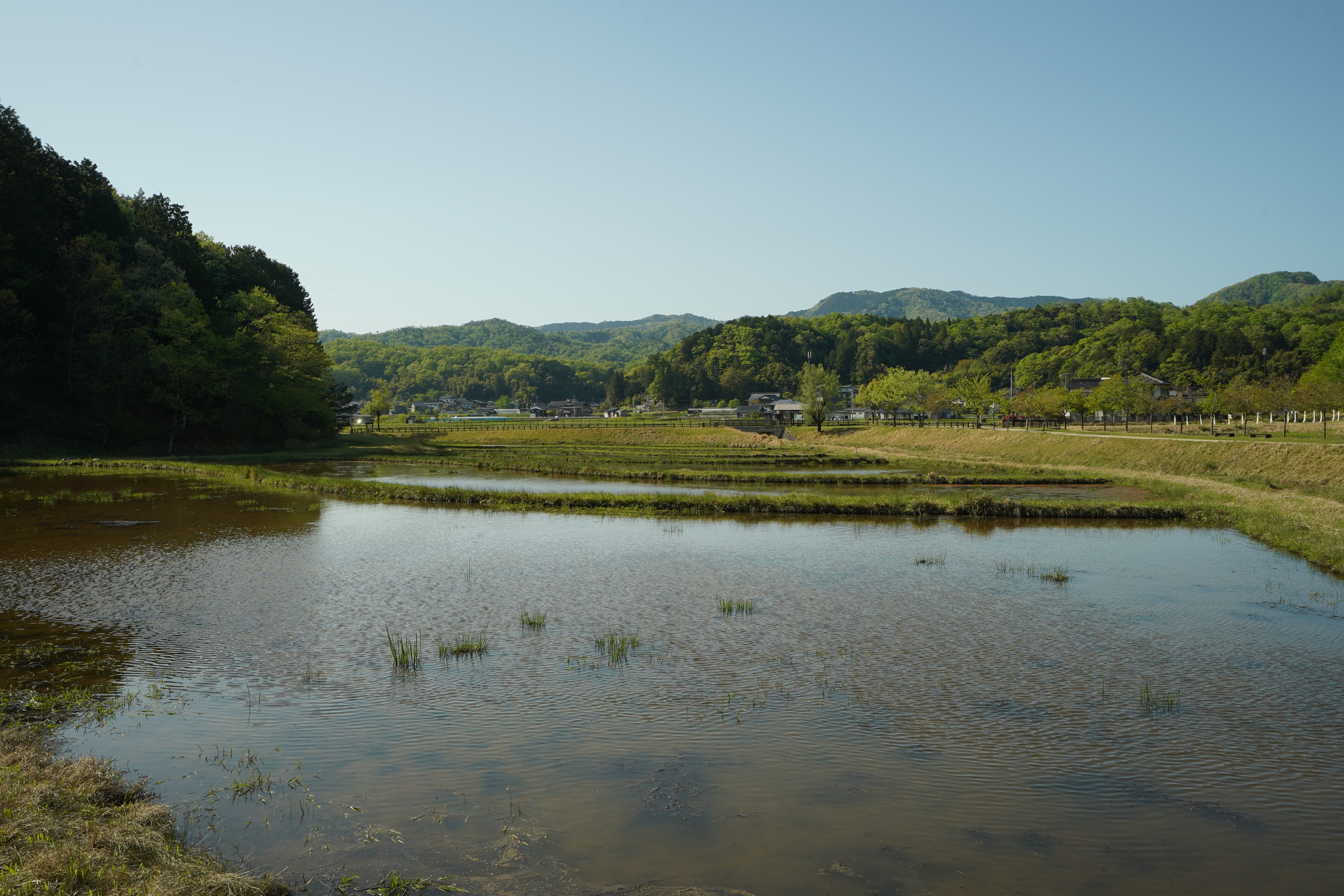 image biotope