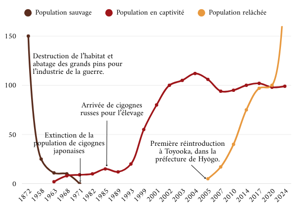 graphique