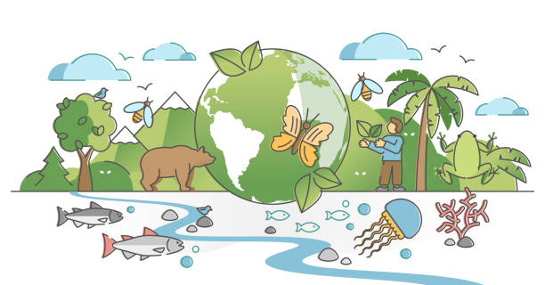 Qu'est-ce que la biodiversité ? 