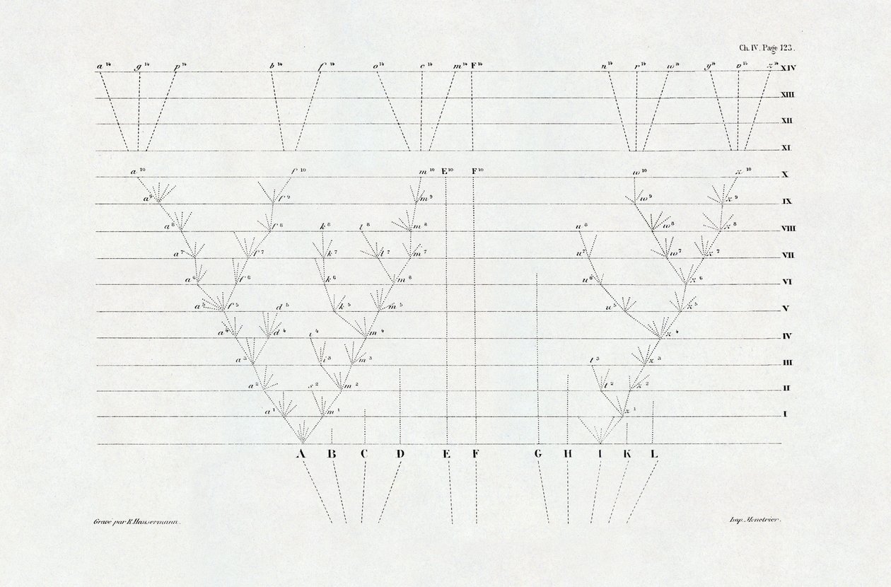 schema